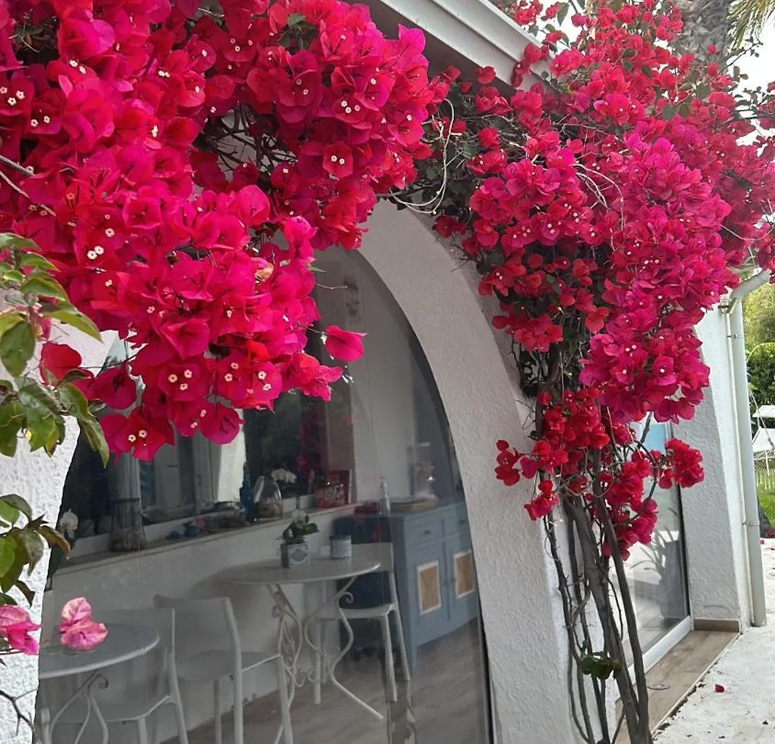 Bed and Breakfast La Casa Di Nina La Maddalena  Bed & Breakfast